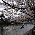 nEO_IMG_IMG_5141.jpg