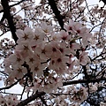 nEO_IMG_IMG_5142.jpg