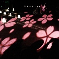 nEO_IMG_IMG_5230.jpg