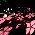 nEO_IMG_IMG_5231.jpg