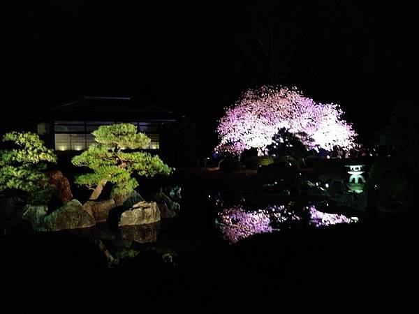 nEO_IMG_IMG_5237.jpg