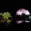 nEO_IMG_IMG_5237.jpg