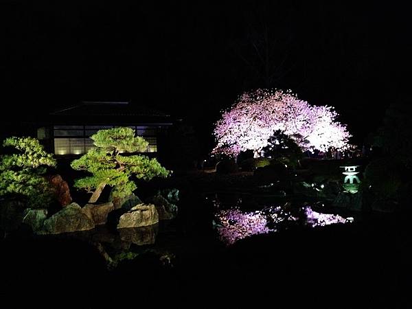 nEO_IMG_IMG_5236.jpg