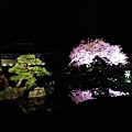 nEO_IMG_IMG_5236.jpg