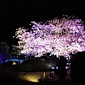 nEO_IMG_IMG_5244.jpg