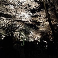 nEO_IMG_IMG_5246.jpg
