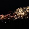nEO_IMG_IMG_5249.jpg