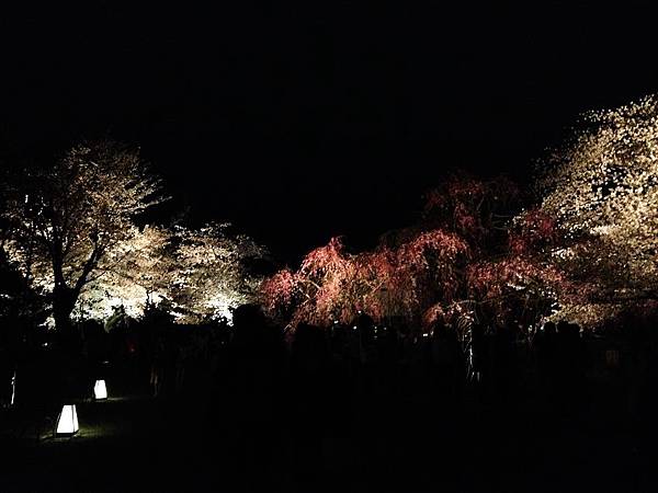 nEO_IMG_IMG_5250.jpg