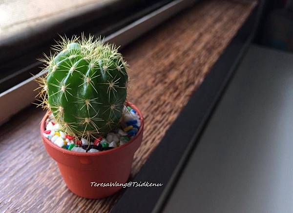 2017-05-03.jpg 2017-05-03.jpg