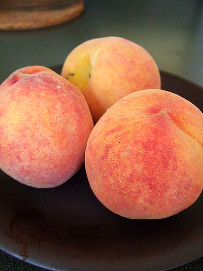 8-5-038.jpg 8-5-038.jpg