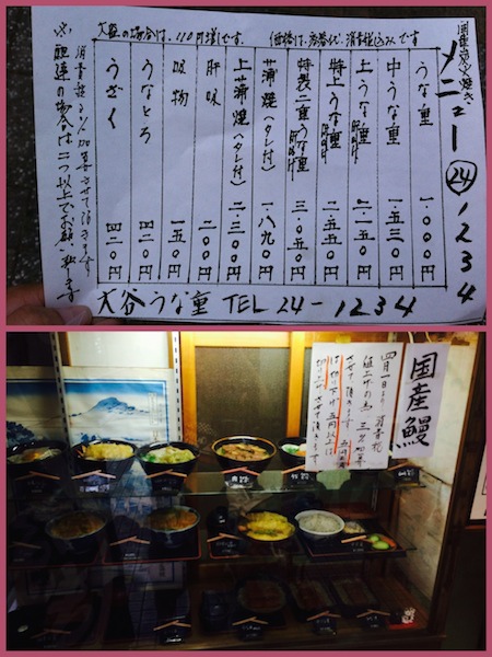 IMG_6299_Fotor_Collage.jpg IMG_6299_Fotor_Collage.jpg