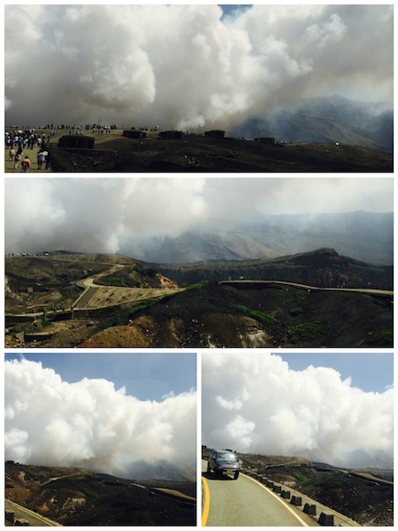 IMG_3842_Fotor_Collage.jpg IMG_3842_Fotor_Collage.jpg