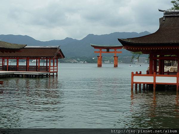 遠看鳥居