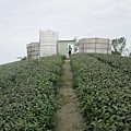 IMG_2885.JPG