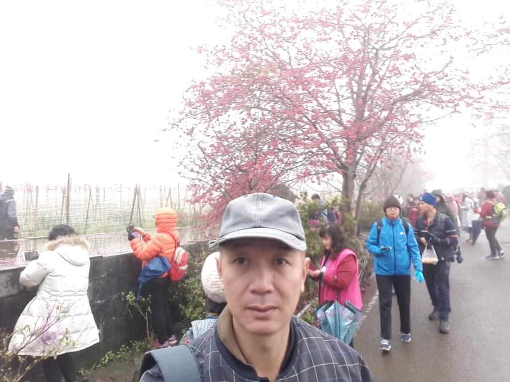 20180203_110809.jpg 20180203_110809.jpg