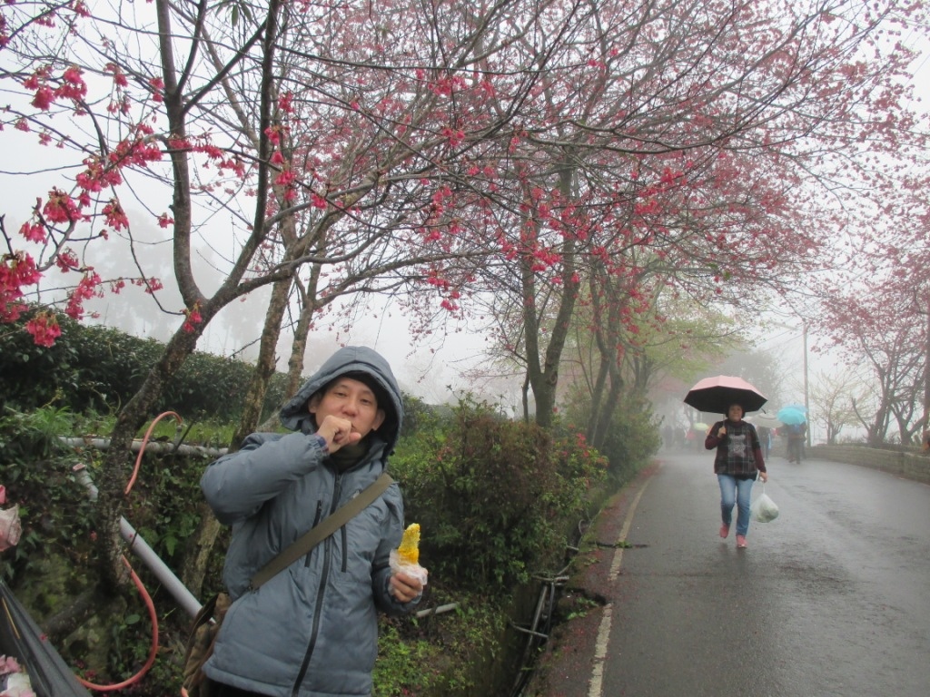 IMG_0987.JPG IMG_0987.JPG