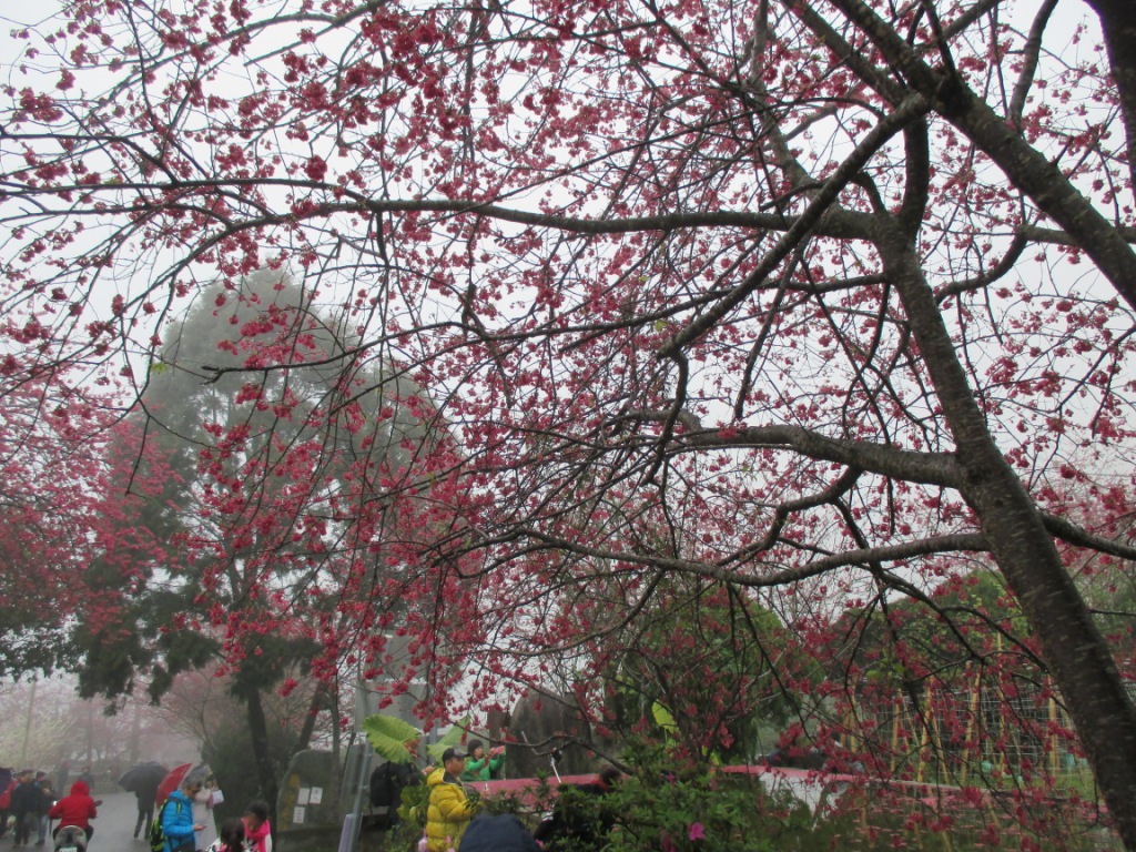 IMG_0992.JPG IMG_0992.JPG