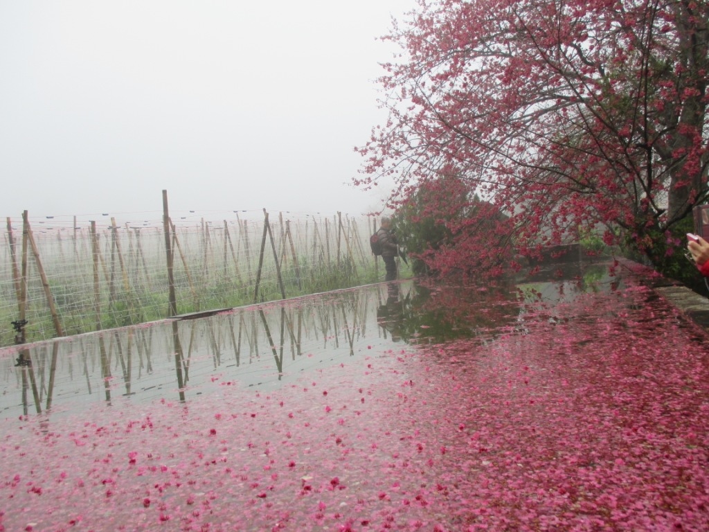 IMG_0994.JPG IMG_0994.JPG