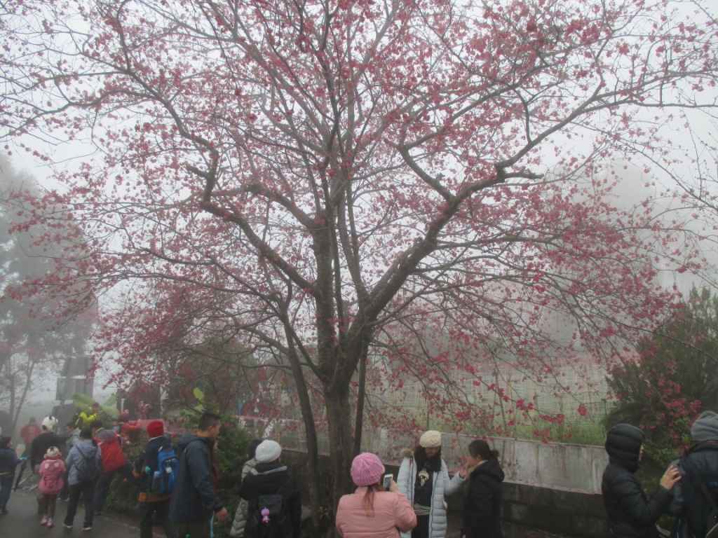 IMG_0995.JPG IMG_0995.JPG