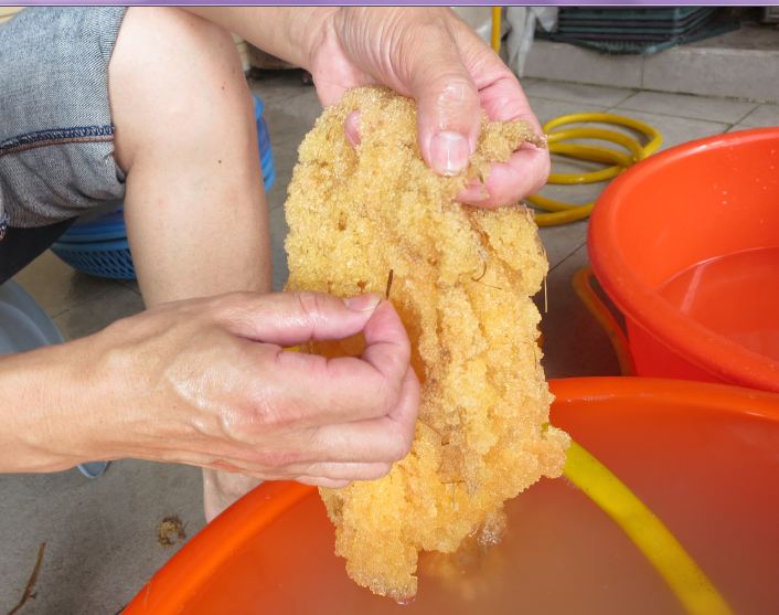 傳說中的 載滿草包的黃金船 八斗子vs 飛魚卵 心干寶貝 幸福干貝 痞客邦