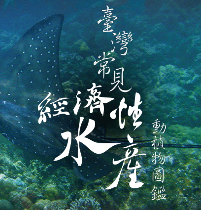 圖片 4.jpg