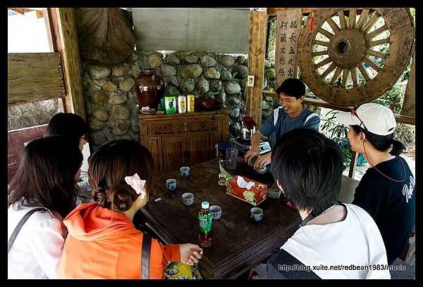 綠屋泡茶