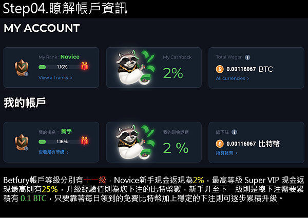 04.BetFury瞭解帳戶資訊.png