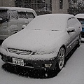 名古屋下雪了-1