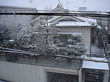 名古屋下雪了-9