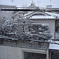 名古屋下雪了-9