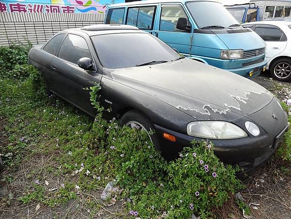 與花草共存的前愛車TOYOTA SOARER(2).JPG