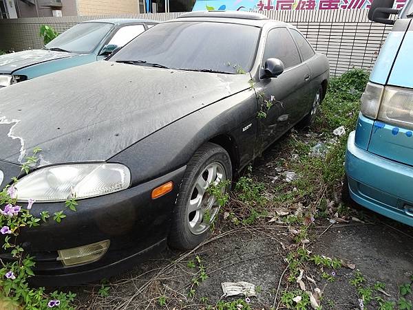 與花草共存的前愛車TOYOTA SOARER(4).JPG