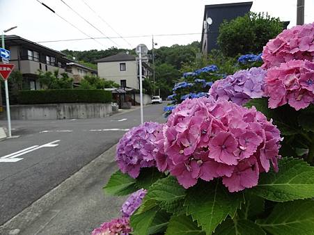 久違的名古屋之旅-第二天(16).JPG