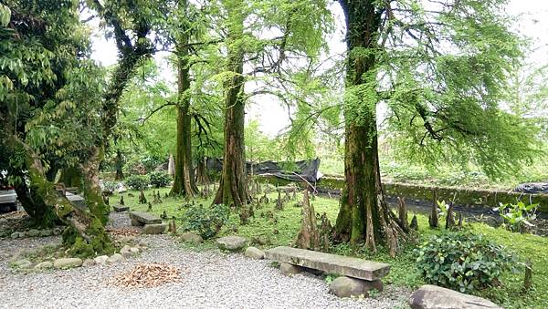 陳家松園