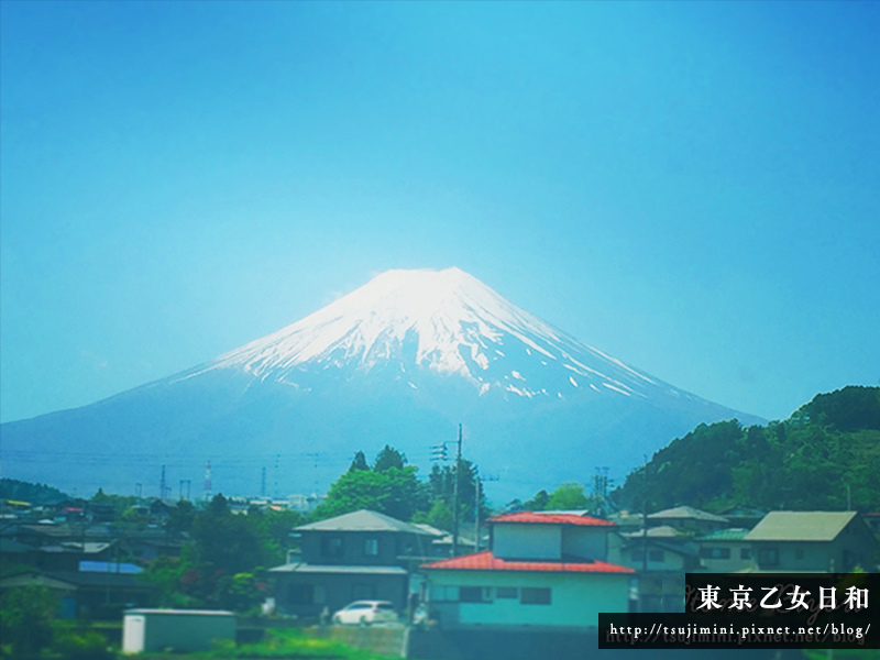 155686478.jpg 155686478.jpg