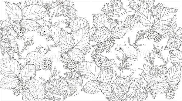 Garden Coloring Book -2.jpg