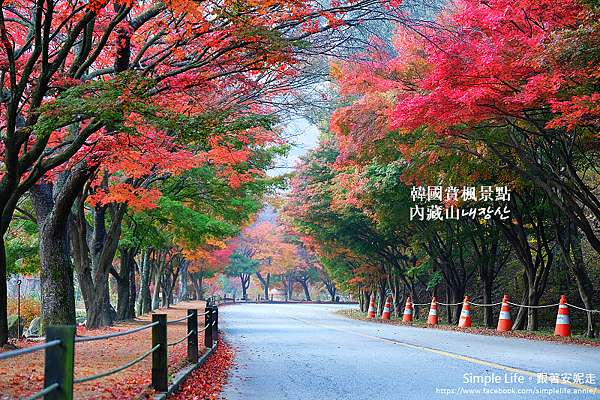 韓國賞楓景點 全羅北道 內藏山내장산 韓國著名賞楓勝地 含前往交通方式說明 從首爾 釜山 全州 光州出發 時刻 票價不會韓文也能順利賞楓去