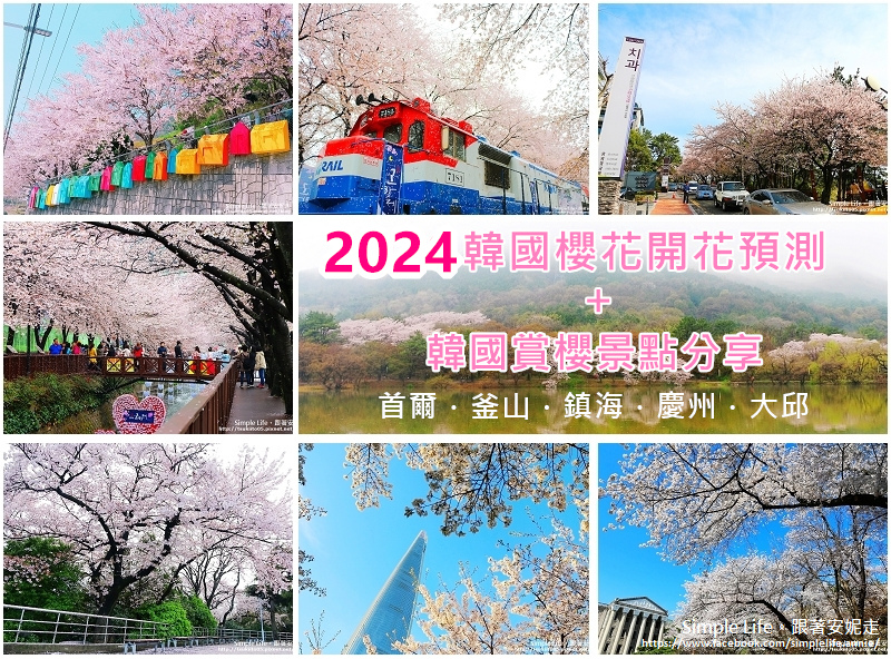 2024櫻花預測-2.jpg