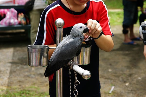 IMG_8092.jpg