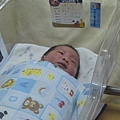 DSC04404.jpg