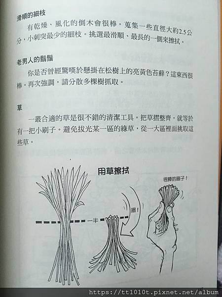 折彎的草［圖來源於超輕量登山野營技巧一書］927289567874_8349459192708333568_n