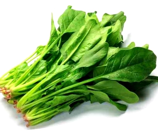菠菜.jpg 菠菜.jpg