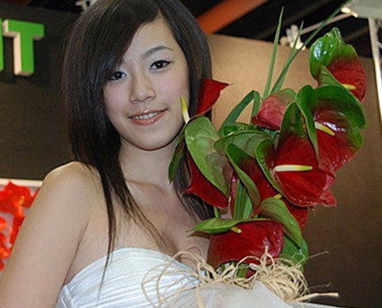 切花火鶴品種選育及環控設施栽培 Ttckmc 台灣蔡大川六美生技中草藥組培工廠蝴蝶蘭組培教學 From1984 全年生產管理瓶苗幼苗專門外銷 痞客邦