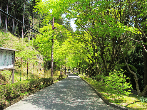 比叡山橫川 (1).JPG