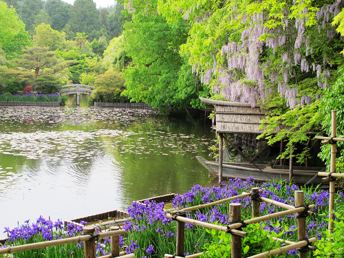 龍安寺 (5).JPG