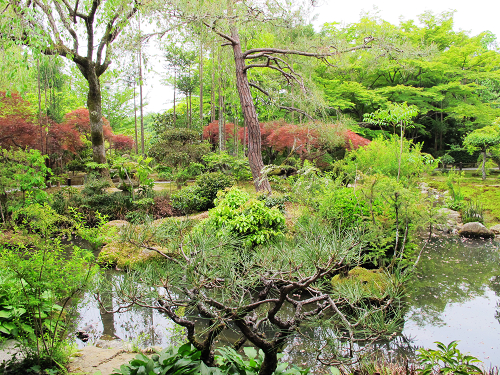 龍安寺湯豆腐 (1).JPG