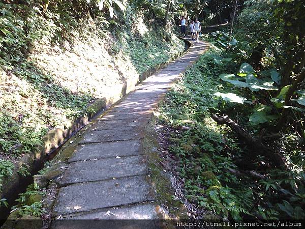 青山瀑布步道021.jpg