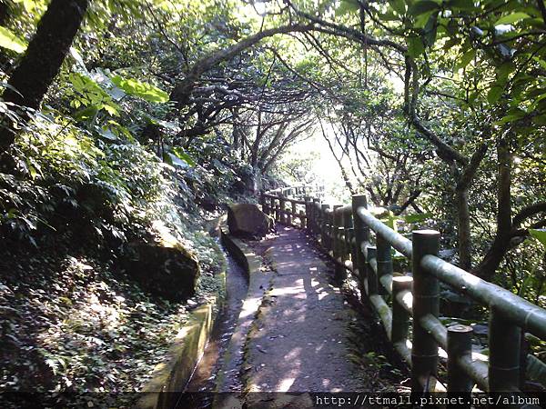 青山瀑布步道031.jpg