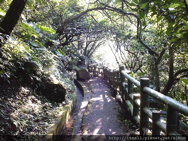 青山瀑布步道032.jpg