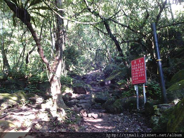 青山瀑布步道043.jpg